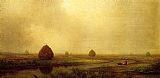 Jersey Marshes